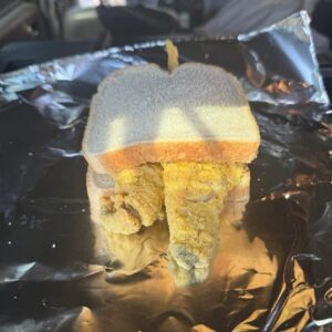 Fish Sandwich